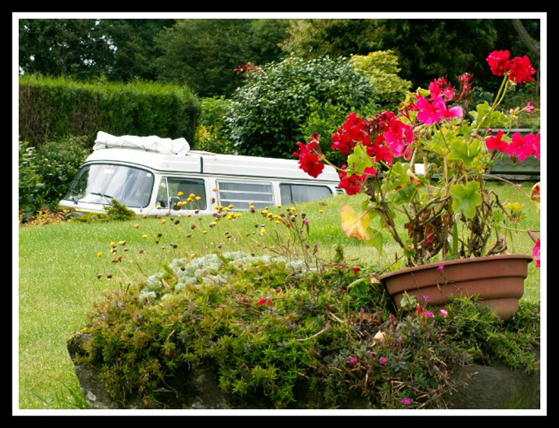 0054 combi en fleurs
