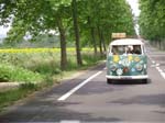 0118 Lolo et ses fleurs